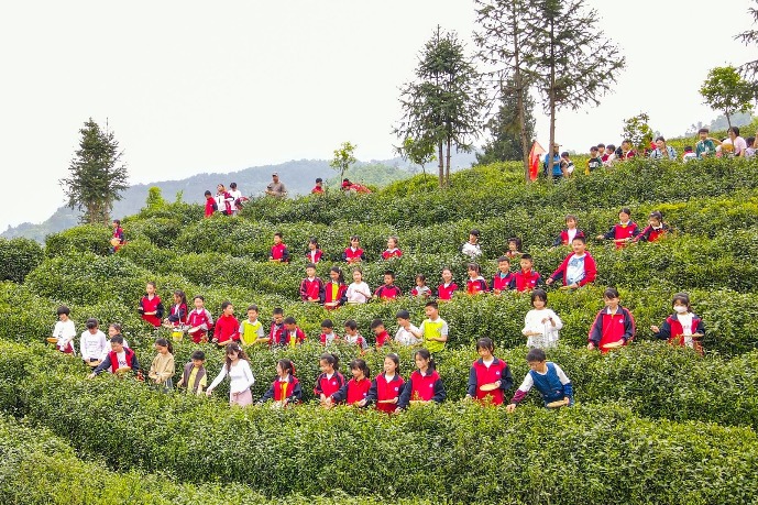 Elementary school students explore tea culture at Hubei’s tea expo park