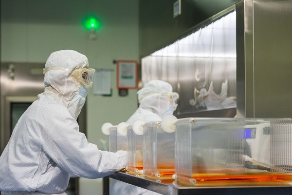 Senior official says efforts still needed to improve immunization program