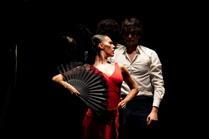 'Carmen' to enthrall audiences in Wuhan