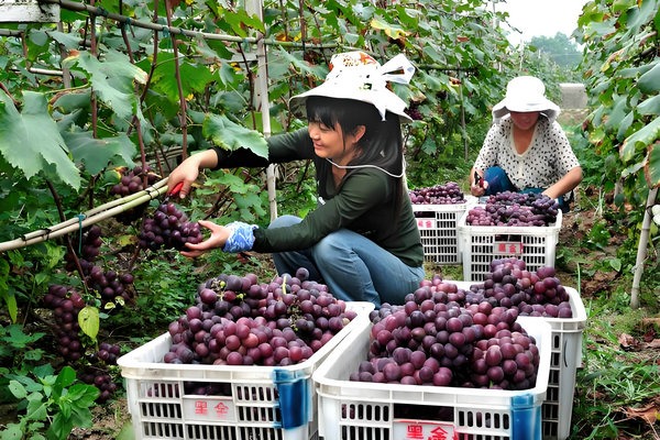 Rural destination a draw for holiday getaway