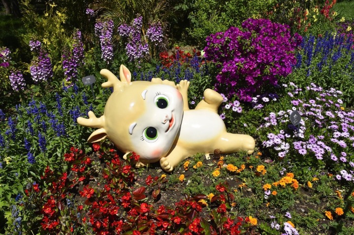 Botanical garden in Beijing transforms into a stunning floral paradise