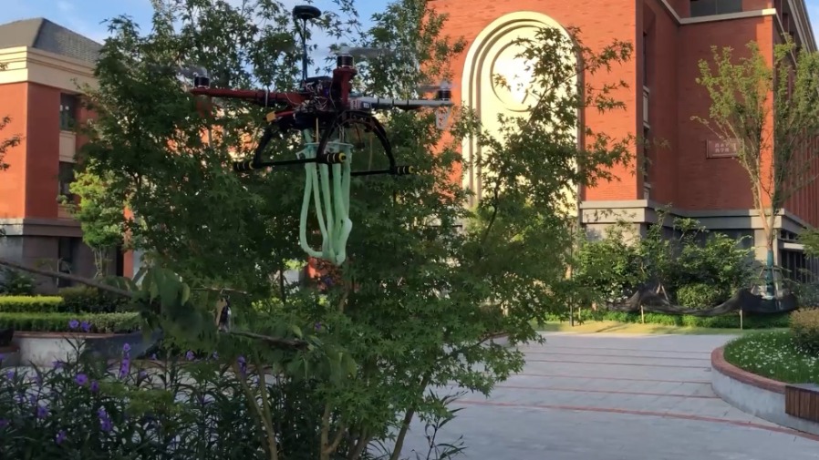 Engineers develop soft drone grippers inspired by climbing plants