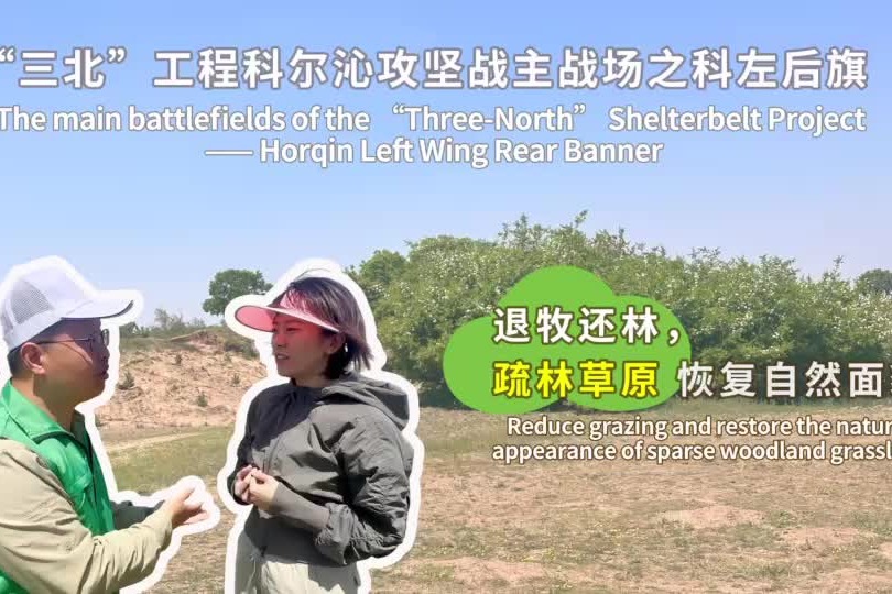 Desert soil restored through grassland protection