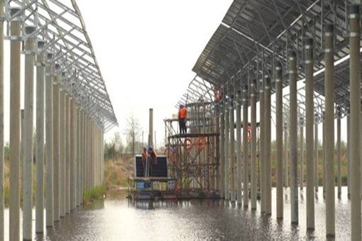 Innovative ideas help power progress in Shandong province