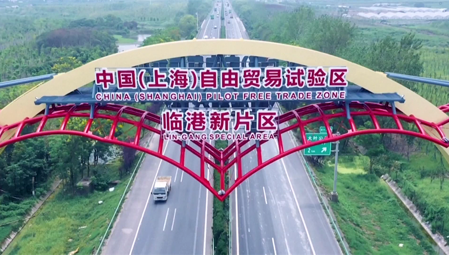 Lin-gang Special Area to see output of pioneering sectors reach $14b