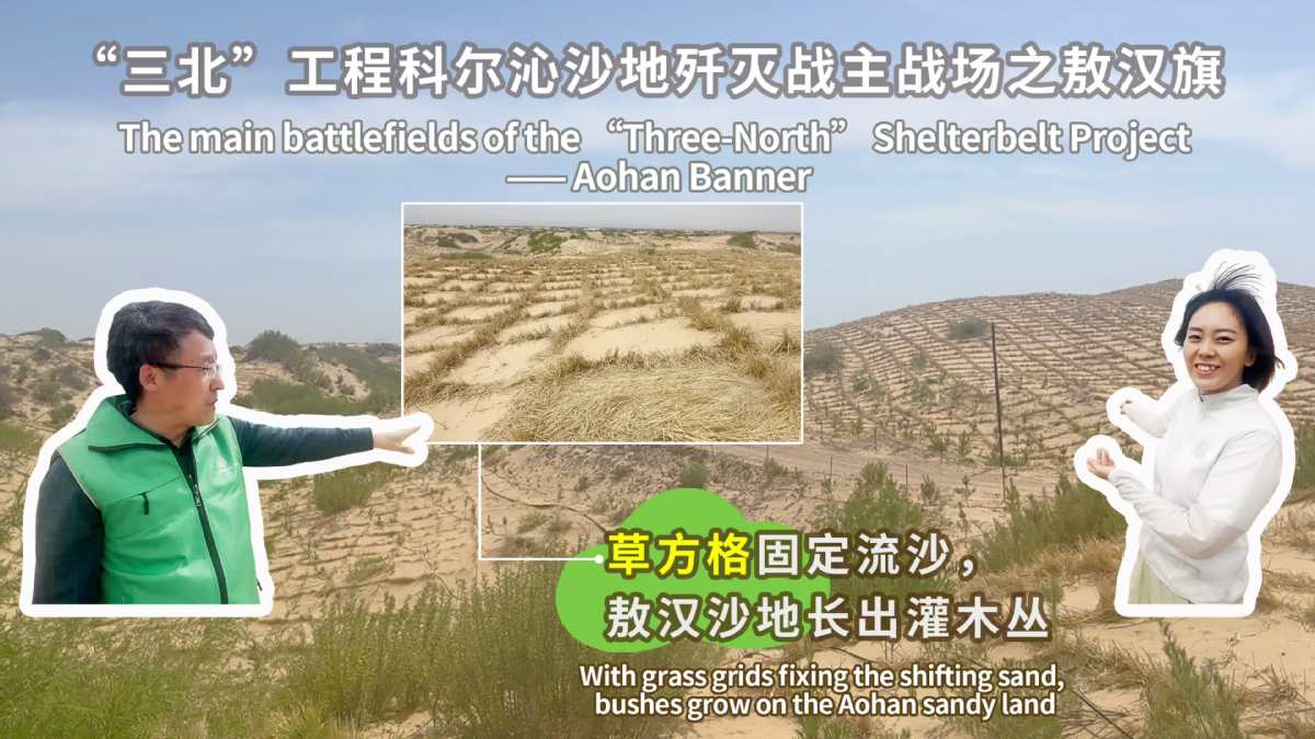 Region plagued by sandstorms becomes key in desertification fight