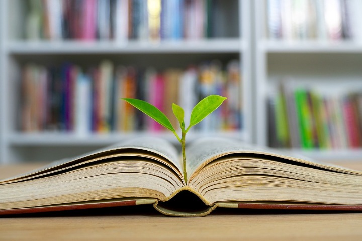 China sets up comprehensive environmental judicial system