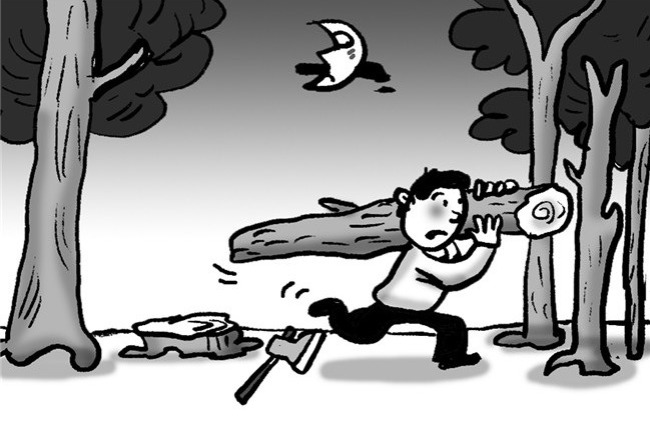 China's top procuratorate to oversee major environmental damage cases