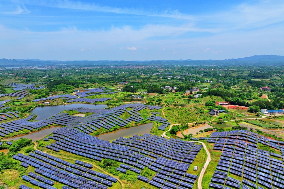 RMI CEO: China, a leader in green, clean technology