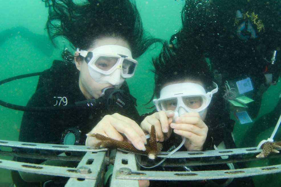 Xiamen lauded for marine preservation