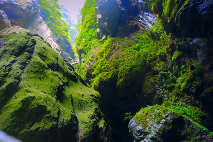 Wulong's tourism focus yields economic results