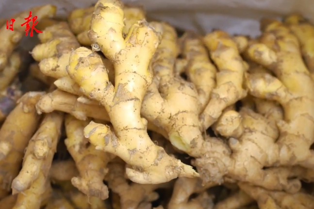 Tongling white ginger: Revitalization through innovation