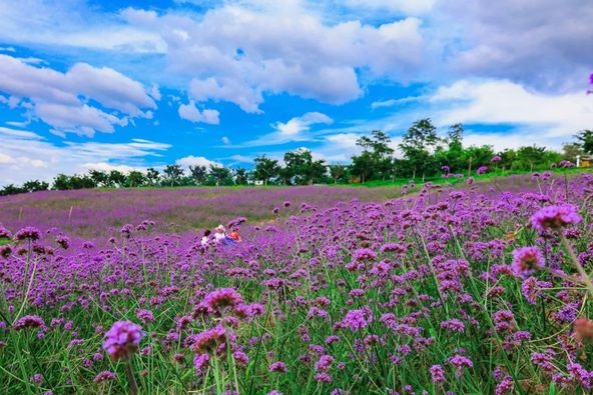 Qishan Yunding scenic area in Zibo