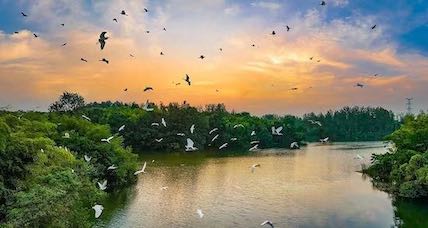 Natural beauty abounds in Yangzhou