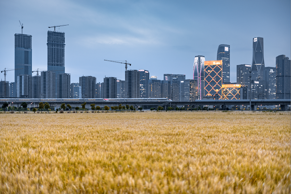 Over 1 million enterprises registered in Hangzhou