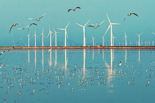 China Focus: China ranks high in global electricity index by tech innovation