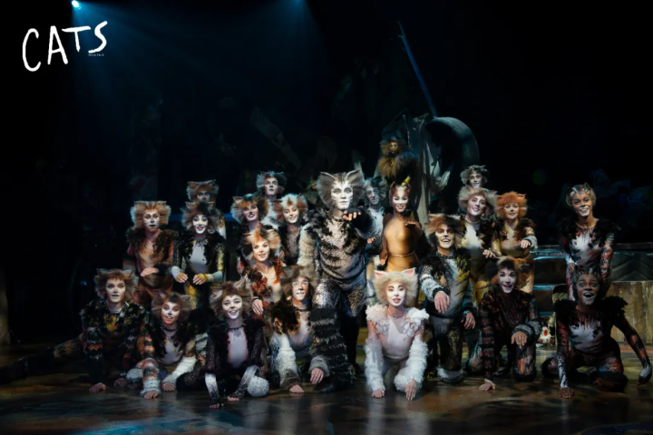 Classic musical work set to captivate audiences in Zhengzhou