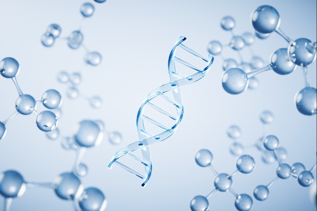 Guideline sets ethical rules for human genome editing research