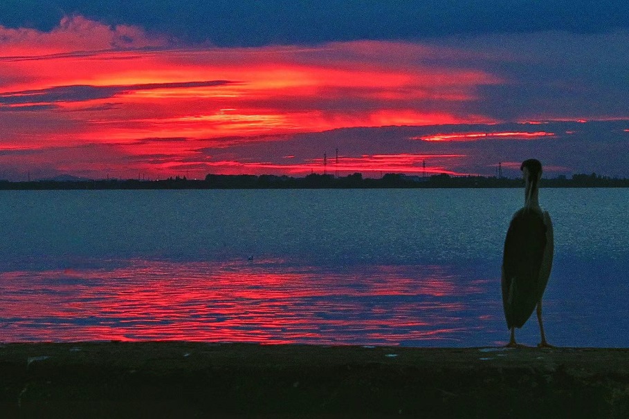 Shanghai's peaceful retreat glows with sunset