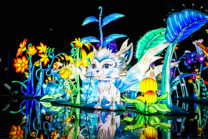 Wuhan ocean park hosts music festival and party