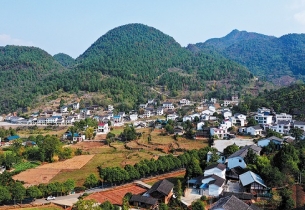 Party secretary propels village into prosperity