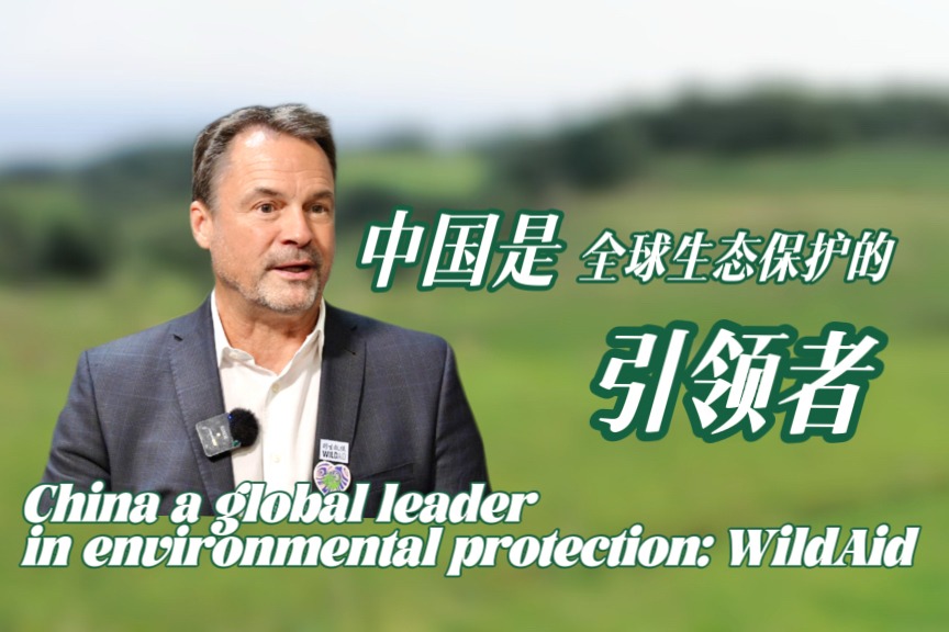 China a global leader in environmental protection