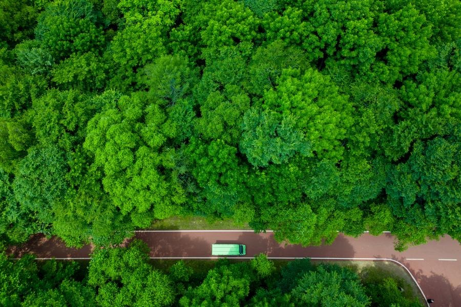 Progress in turning China green