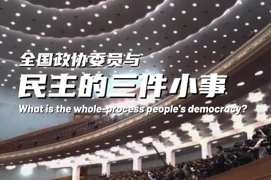 Whole-process people's democracy in views of CPPCC members