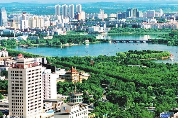 Dignitaries laud revitalization strategy in Northeast China