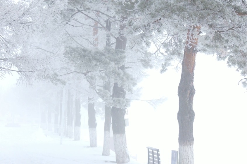 Rime ice delights residents and tourists in Heilongjiang