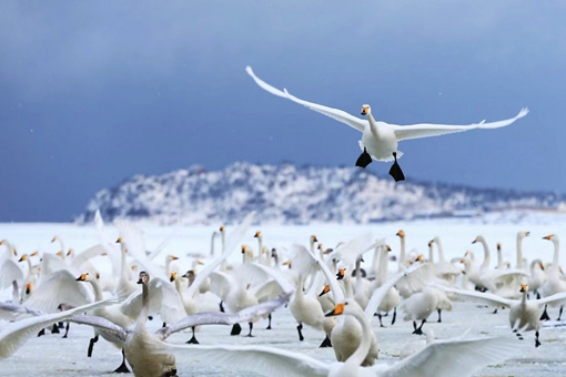 Seven more Chinese villages recognized as Best Tourism Villages by UNWTO