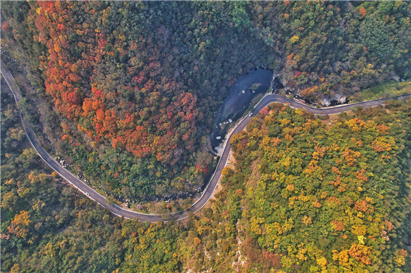 Mount Tai's autumn landscape transforms into colorful palette