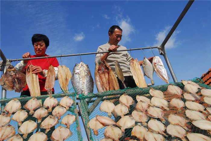 Qingdao fishermen preserve fish using traditional methods