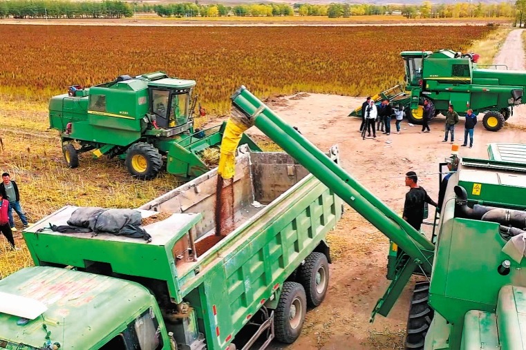 Quinoa cultivation closes distance across the Pacific