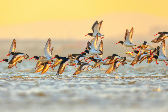 A glimpse of the hidden from the comfort of Dandong