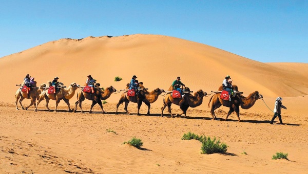 City turns desert into gold mine