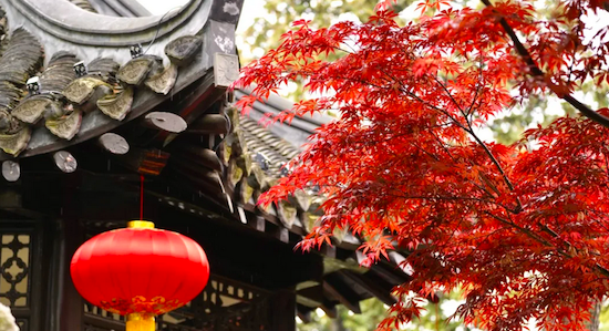 Red maples decorate Geyuan Garden
