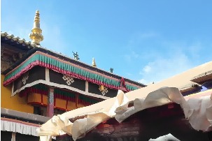 Intl students explore Shalu Monastery in Xizang