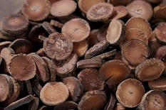 Huajuhong's agricultural brand influence ranks in top 10