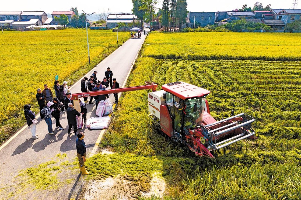 Hunan grain base to ensure nation's food security
