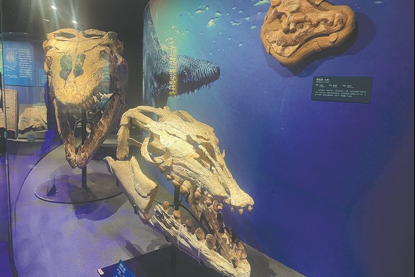 National history museum decks hall with dinos