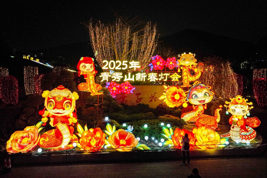 Lantern fair opens in Nanning to celebrate Spring Festival