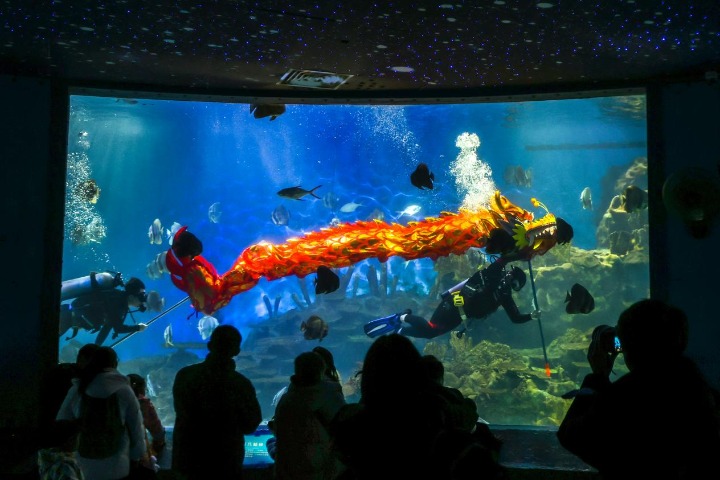 Haihean•Wuhan Polar Ocean Resort celebrates Spring Festival