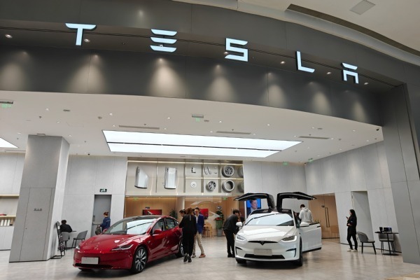Tesla, BMW join Chinese EV makers in challenging EU tariffs
