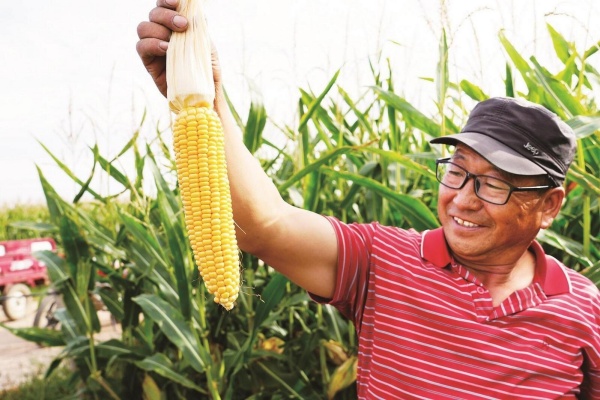 Baotou's year of remarkable agriculture and animal husbandry growth