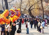 Taiyuan shines as top Spring Festival tourist destination