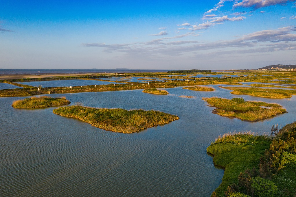 Number of intl wetland cities in China rises to 22