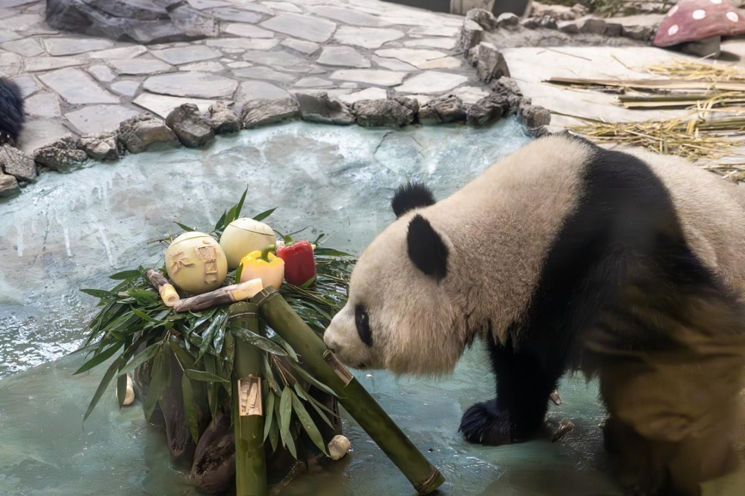 Locajoy Park blends Lantern Festival traditions & animal education
