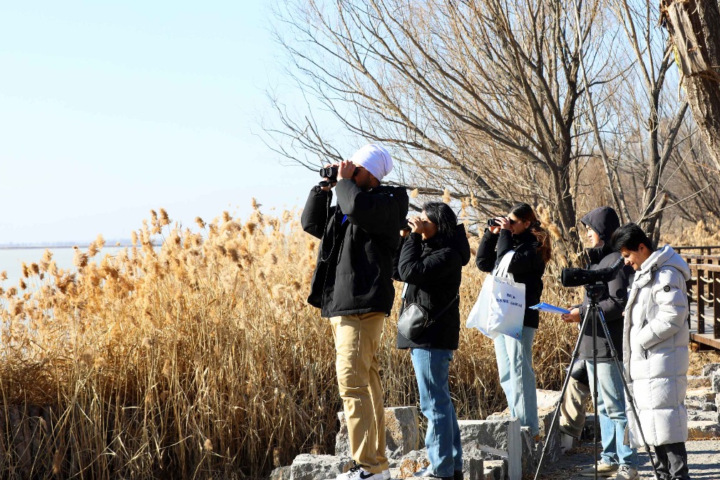International bird-watching event celebrates ecological success at Hengshui Lake