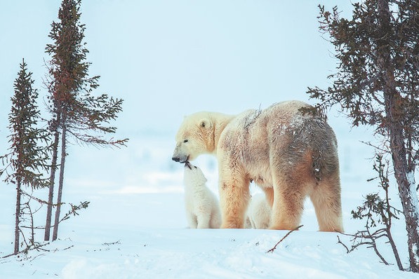 Putting life in focus